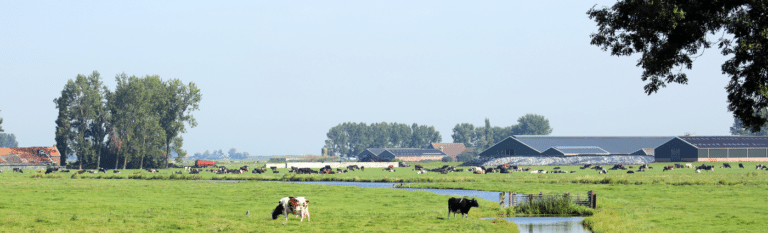 Waarom Jeroen voor Lybrae koos