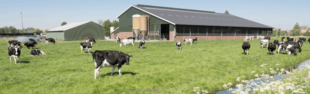 mer-(beoordelings)plicht